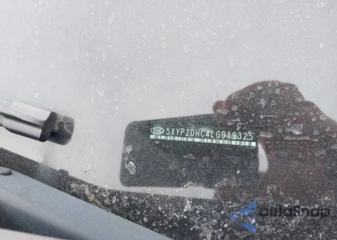 2020 Kia Telluride Lx z USA, uszkodzony, nr VIN 5XYP2DHC4LG019325